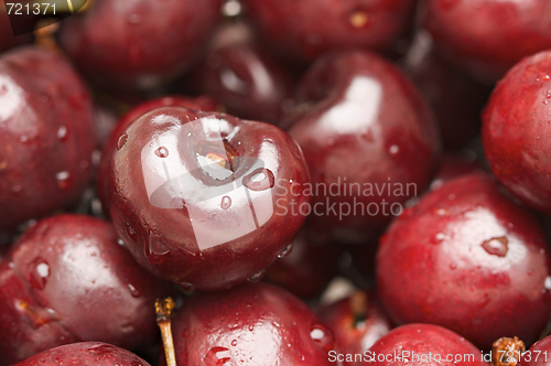 Image of Bunch of Fresh Cherries