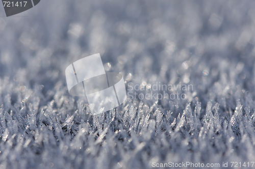 Image of Morning Frost Crystals