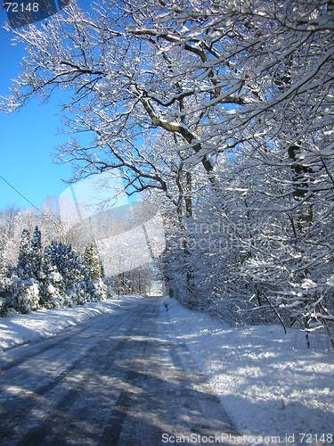 Image of Country Lane