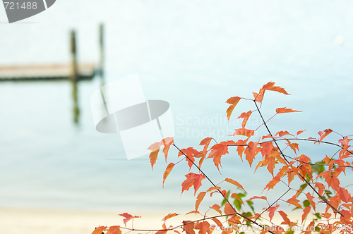 Image of Tranquil Morning Lake Scene