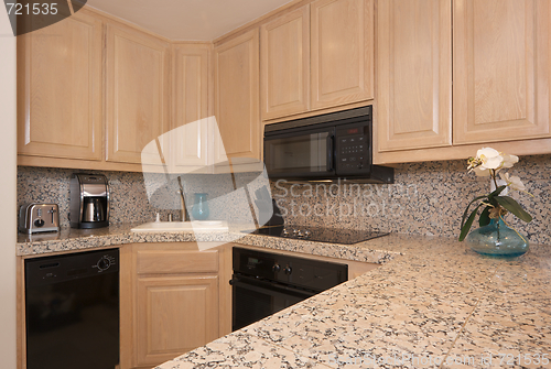 Image of Modern Kitchen Interior