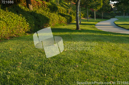 Image of Neighborhood Sidewalk