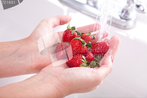 Image of Woman Washing Strawberries