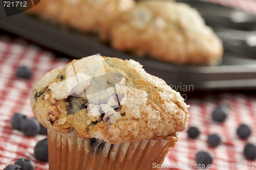 Image of Fresh Blueberry Muffins