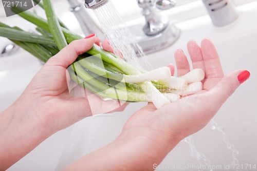 Image of Woman Washing Onions