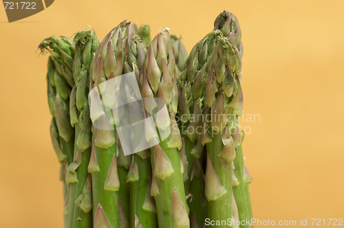 Image of Fresh Organic Asperagus