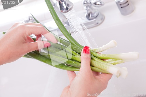 Image of Woman Washing Onions