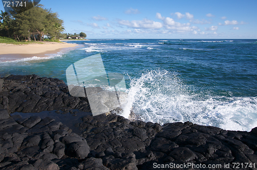 Image of Tropical Shoreline