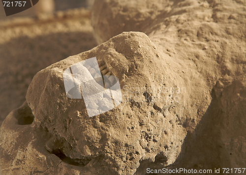 Image of Ancient Human Remains