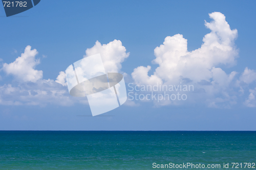 Image of Tropical Shoreline