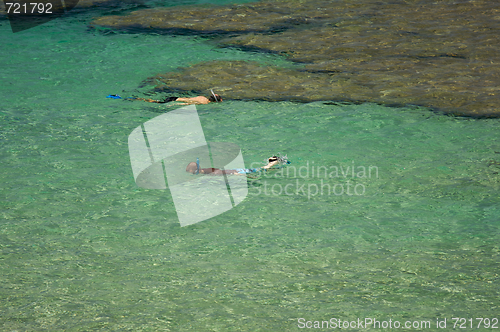 Image of Snorkelers in the Clear Tropical Waters