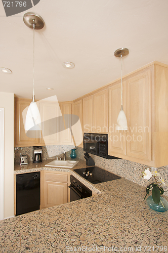 Image of Modern Kitchen Interior