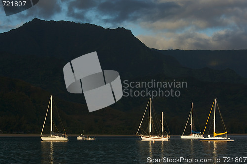 Image of Sailboats in the Early Morning Light