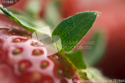 Image of Close-up Strawberries