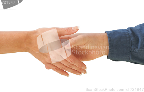 Image of Man and Woman Shaking Hands Isolated