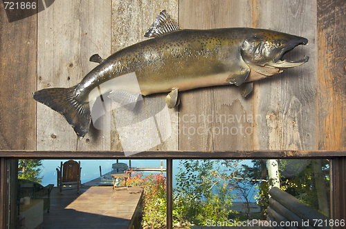 Image of Stuffed Fish Mounted on the Wall