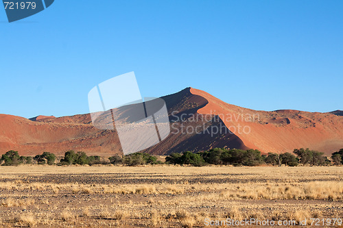 Image of red dunes of sossusvlei