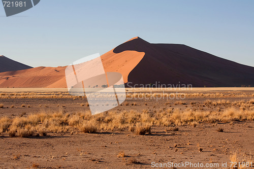 Image of red dunes of sossusvlei