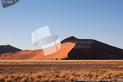 Image of red dunes of sossusvlei