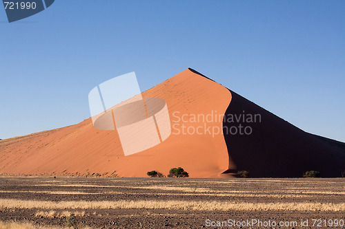 Image of red dunes of sossusvlei