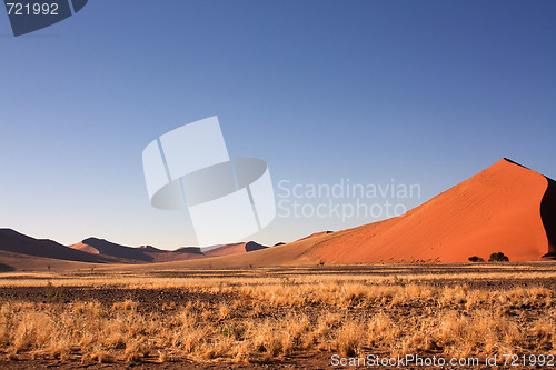 Image of red dunes of sossusvlei