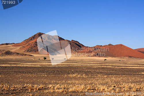 Image of red dunes of sossusvlei