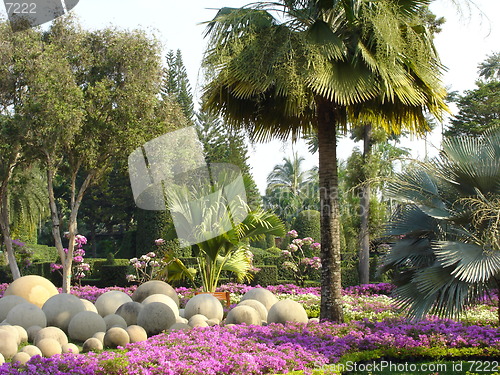 Image of Tropical Garden in Pattaya, Thailand