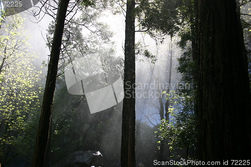 Image of Brideveil Falls Mist in Yosemite