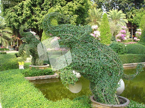 Image of Tropical Garden in Pattaya, Thailand