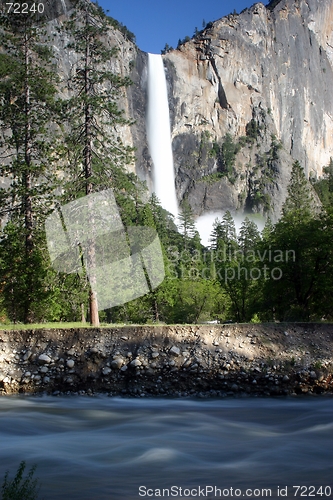 Image of Yosemite National Park