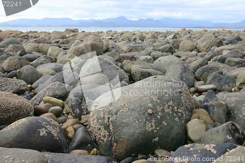 Image of rocks, shell island