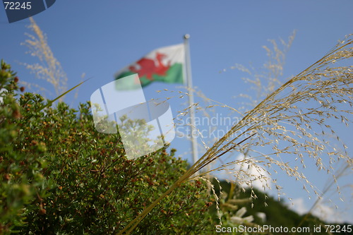 Image of welsh flag