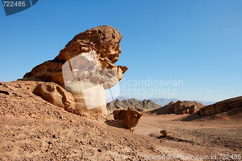 Image of Scenic orange rock in shape of mushroom in stone desert, Israel