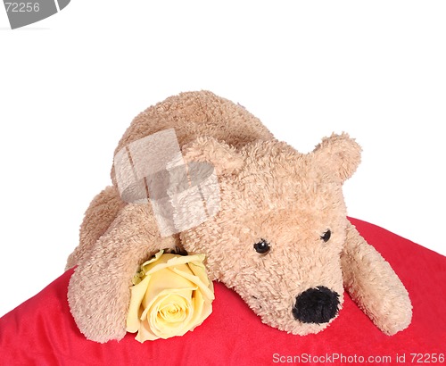 Image of Bear with rose