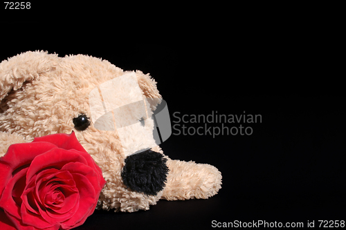 Image of Bear with rose