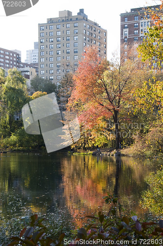 Image of central park new york city