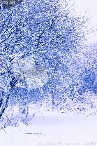 Image of Winter park with snow-covered road