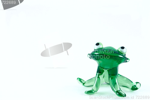 Image of Green glass frog