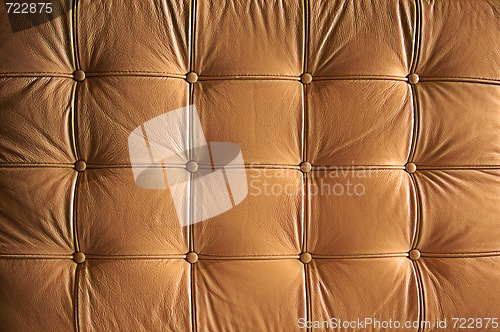 Image of Comfortable Buttoned Leather Pattern