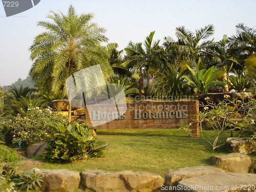 Image of Tropical Garden in Thailand