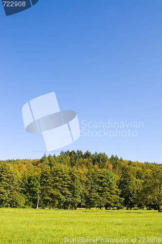 Image of Idyllic meadow with tree