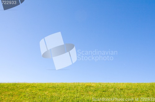 Image of Lawn