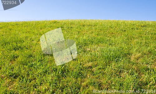 Image of Lawn