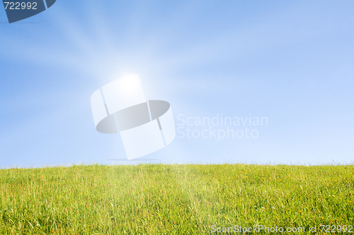 Image of Idyllic lawn with sunlight