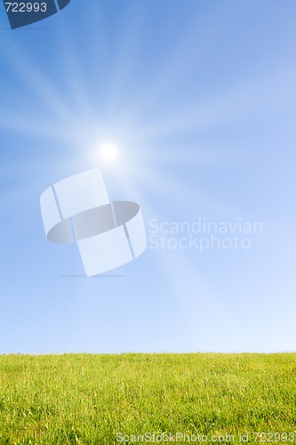 Image of Idyllic lawn with sunlight