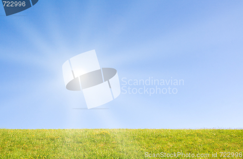 Image of Idyllic lawn with sunlight