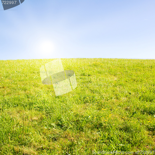 Image of Idyllic lawn with sunlight