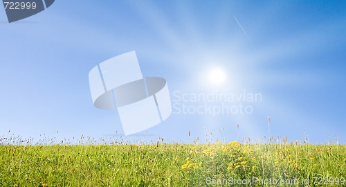 Image of Idyllic lawn with sunlight