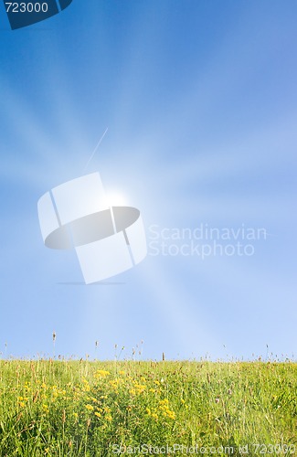 Image of Idyllic lawn with sunlight