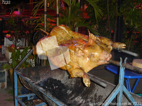 Image of Roasting Pig in Pattaya, Thailand